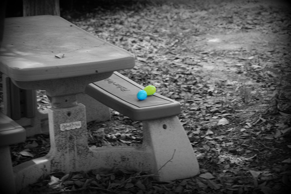 picnic table bw color